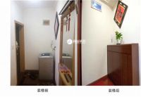 生活很累，喜雀装饰为我指导