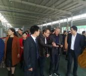 中国木材与木制品流通协会会长刘能文率考察团参观千川木门湖北生产基地