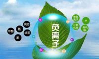 负离子，我敬你Skr 汉子