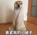 冬季取暖装备：雅芳婷抗菌天使绒冬被