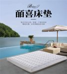 不忘初心 皕喜董事长武建川的大爱“精英计划”