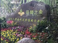 选择德国安热地暖系统，为妈妈和天使保驾护航