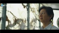 厦门改革开放40周年纪录片 凌云玉石《玉石之路》震撼上映