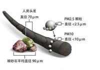 日立中央空调课堂：雾霾严重时如何保护家人健康