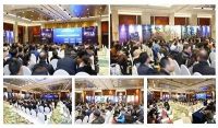 官方助阵,名企携手,凌宇移民《中澳贸易投资移民交流会》