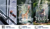 动物登上海报成为体验官？卫浴领军品牌九牧城会玩！