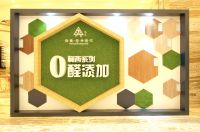 德国风范，环保典范——菲林格尔携TOPPAN凸版集团正式发布0醛添加木地板
