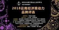 改革开放40周年|2018云南经济推动力品牌评选