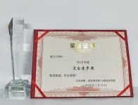 再获殊荣，IAM荣获2018年京东家电供应商突出进步奖