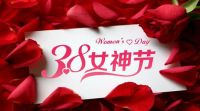 女神节礼物，除了包包口红 这件智能小家电同样值得推荐