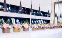 花伴女神 绽放芳华|卡萨帝洗衣机邀您共享308女神时光