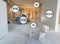 你还在相信甲醛仪？Bet365说：别闹了！