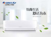 苏大强成功洗白 再白没有国美格力内购会白