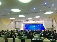 品质为先，创新至上——东大石材荣获中国人造石十大品牌