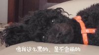 怎样打造人设不容易崩-FN0422.docx