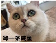 逃离996，精致肥宅的五一假期该如何打开