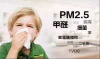甲醛无处不在,我们究竟怎么才能减少甲醛危害?