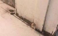 柜子也会长蘑菇？还是不锈钢材质的更靠谱