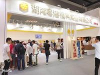 粤港模科亮相广州光亚展 模块化灯具启发照明行业新思路