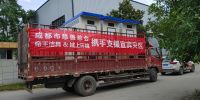 众志成城，帝王洁具&域上环境捐赠“移动式环保公厕”