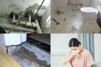 家居帮帮忙：家具要环保 防水涂料更加要环保