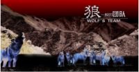 战狼集结 所向披靡——佳歌集成灶营销中心打造狼一样的队