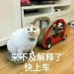 装修速成手册,时间紧任务重,看这一本就够了