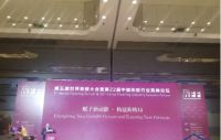圣象代表中国在全球市场会发表驾驭新消费，赋能新优势
