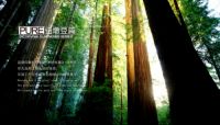 水里来火里去，水火锻造出的安信纽敦豆实木地热地板