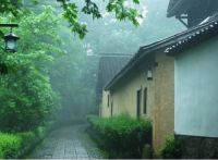 梅雨季节你在用什么办法除湿？来看看必备的这几个