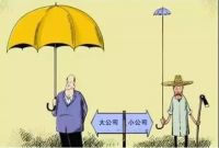 把公司做小做轻,把利润做大,才是经销商2019年的正确选择