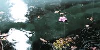 8.17超级粉丝节活动|大明宫建材家居钻石店宠粉模式开启