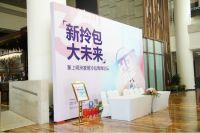 掌上明珠家居：布局流量入口，抢占拎包入住新未来