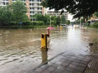 夏季城市内涝频繁出现，海绵城市建设提供新思路