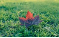 秋季干燥呼吸不畅？，是时候安装劳力特新风系统了
