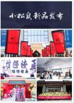 2019年迪森小松鼠新品发布会在西安圆满落幕