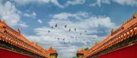 穿梭时空，寻访古建筑里的悠悠古韵