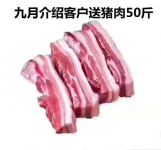 集成灶10大品牌，下单购买蓝炬星，送猪肉10斤