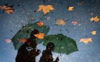 新鲜空气，自由呼吸，只在空山新雨后吗？