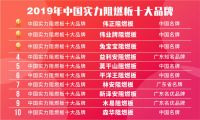伟正阻燃板入选“2019年中国实力阻燃板十大品牌”