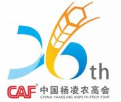 聚焦农高会|绿色建材，让eps模块闪耀农高会