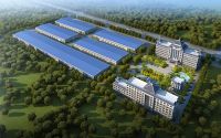兰舍硅藻泥如何在竞争激烈的市场环境中做好自己