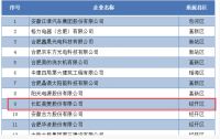 合肥百强高新企业名单公布 长虹美菱再次榜上有名