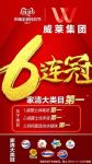 威莱集团电商六连冠 超越永无止境