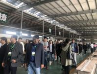 “一带一路”国家林业产能合作官员前来兔宝宝木门参观考察