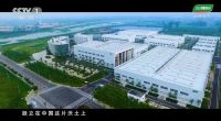大国品牌三棵树：擎起一片庇荫万家的绿