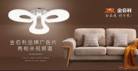 央视投播：金佰利照明实力担任“光明使者”