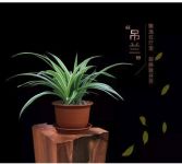 PUREayre丨真的能实现“入住环保”吗？