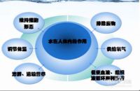 乐米斯特，专业水处理设备服务商
