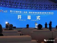 西玛科集成灶惊艳第13届中国国际家博会